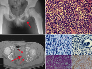 1c9884d82761f8718077f56cee0c1da4 3