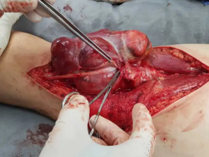 5f96320c454aed712e4545adacdba754 3